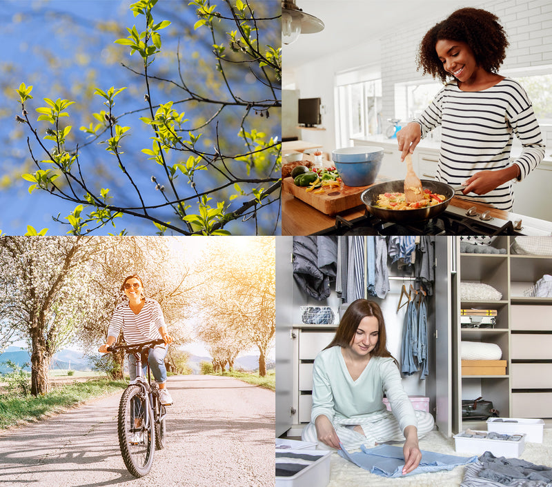 Springtime Renewal